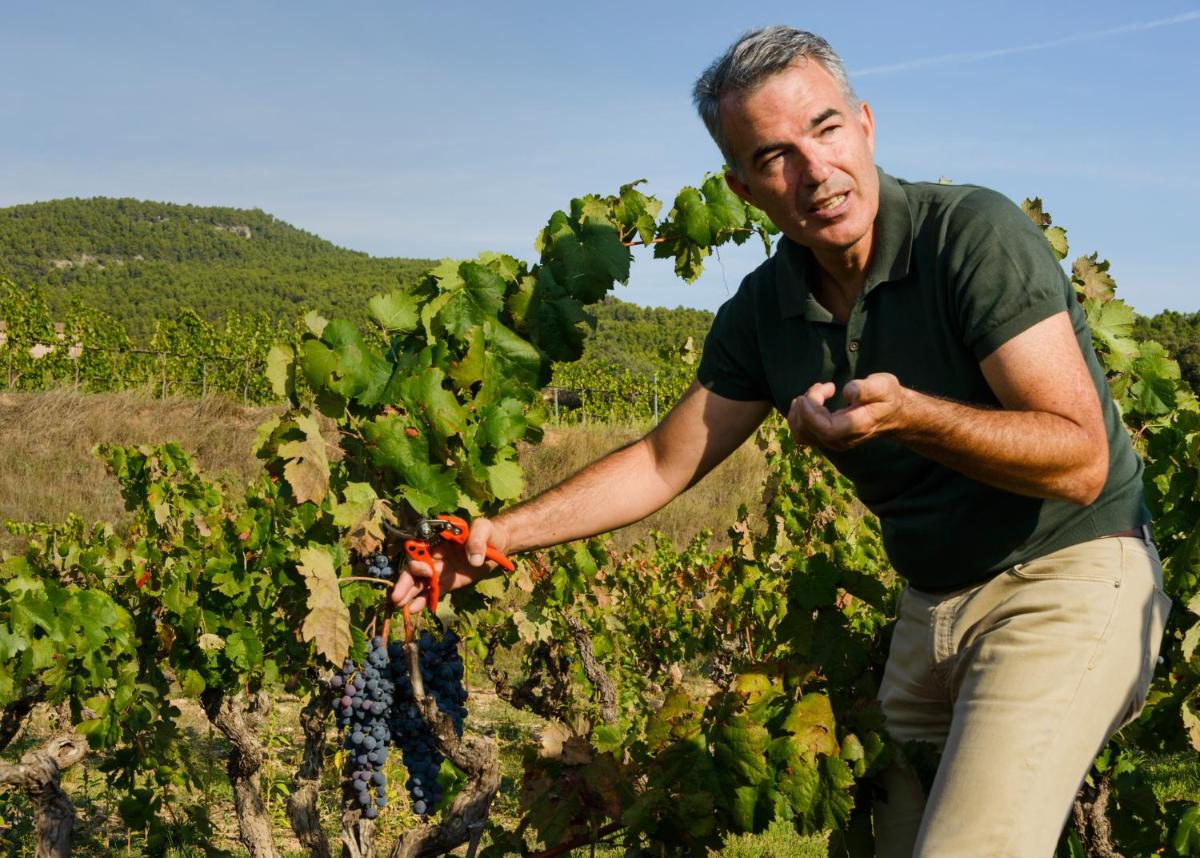 Torre del Marqués Hotel Spa & Winery - Small Luxury Hotels