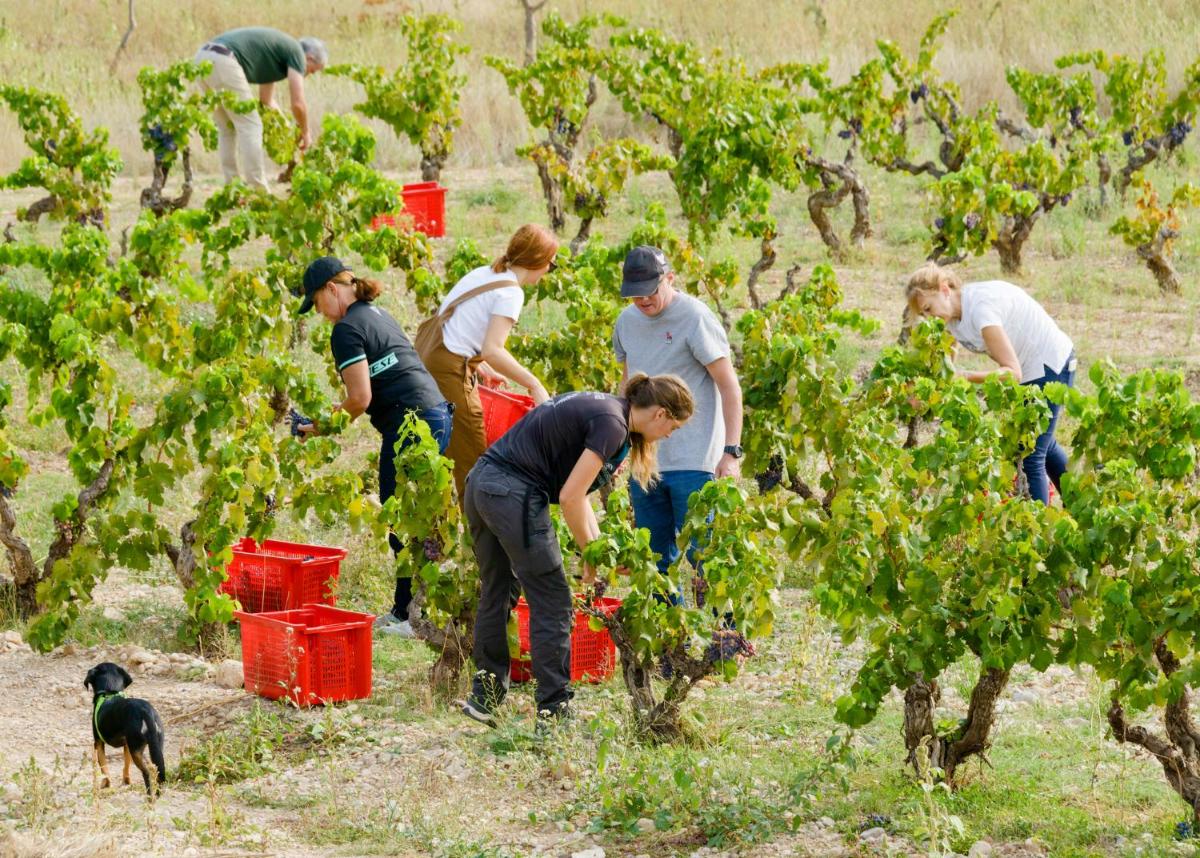 Torre del Marqués Hotel Spa & Winery - Small Luxury Hotels