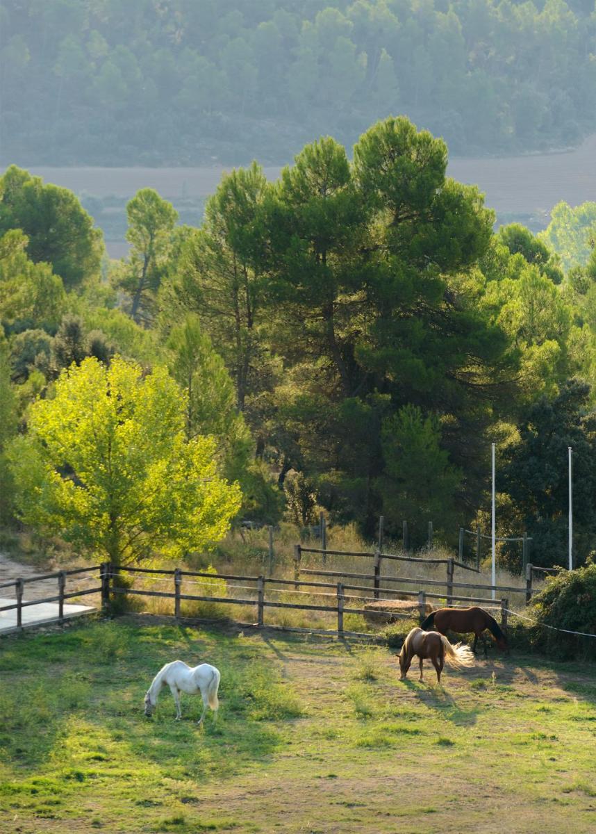 Torre del Marqués Hotel Spa & Winery - Small Luxury Hotels