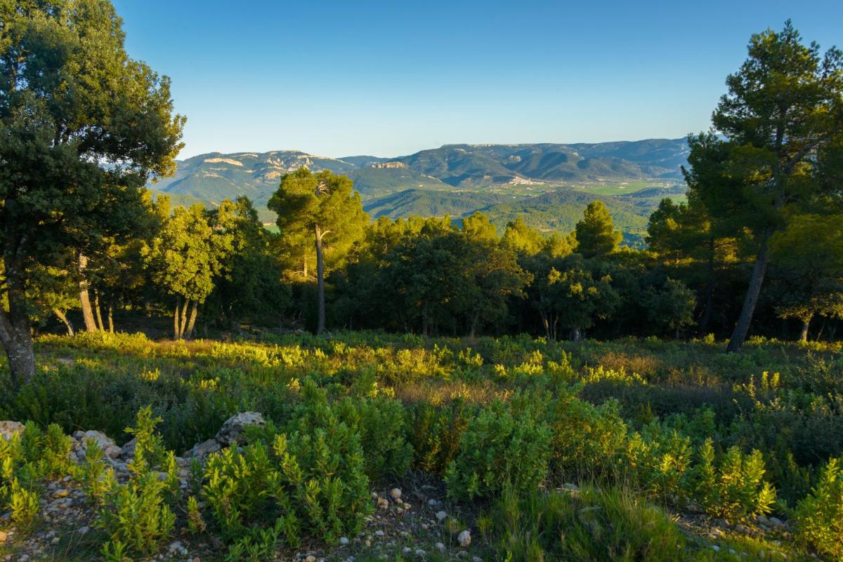 Torre del Marqués Hotel Spa & Winery - Small Luxury Hotels