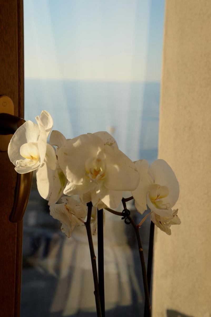 Torre della Loggia - Dimora Storica - Ortona
