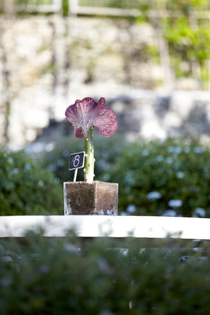 Torri E Merli Boutique Hotel