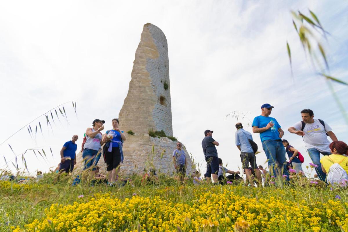Trapetum-Salento domus