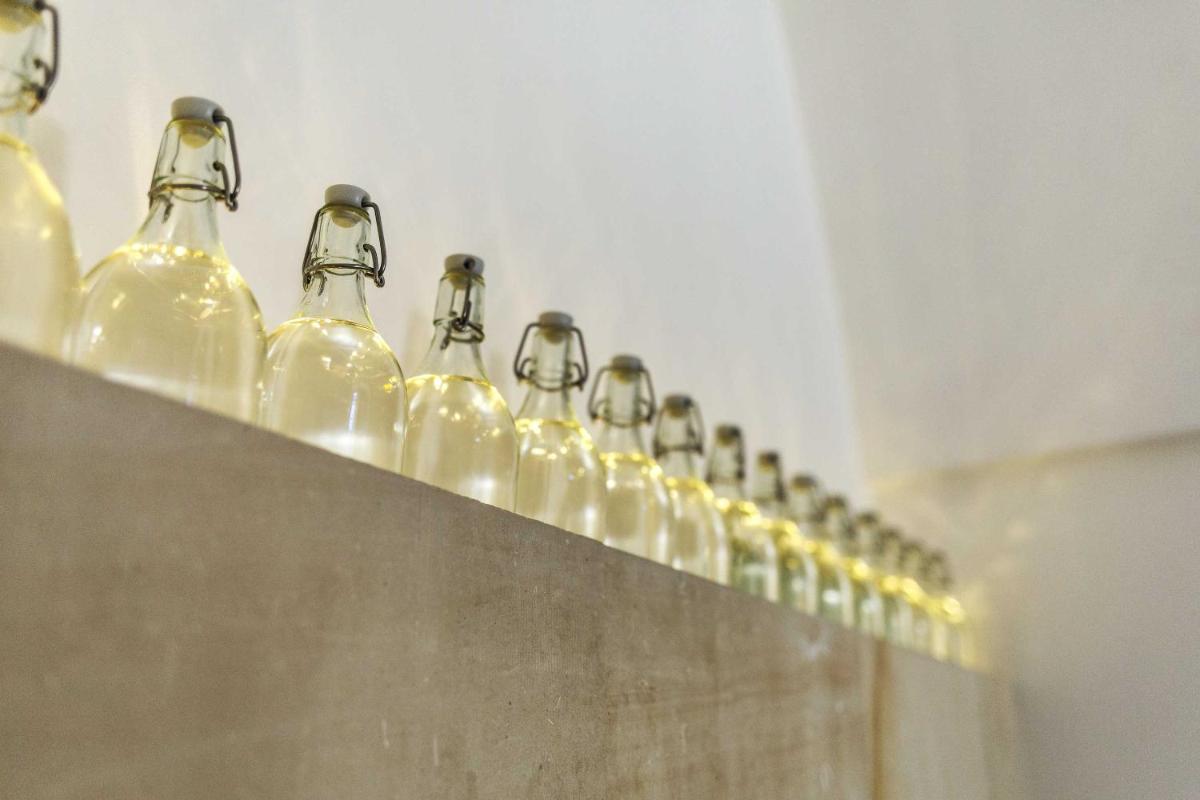 Trapetum-Salento domus