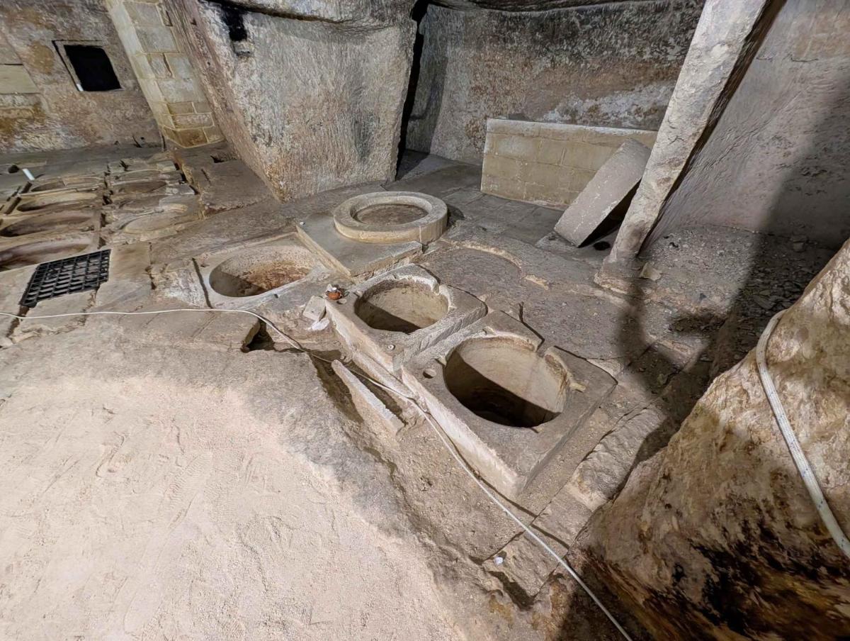 Trapetum-Salento domus