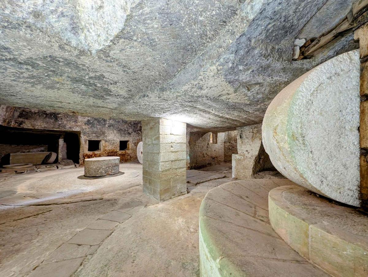 Trapetum-Salento domus