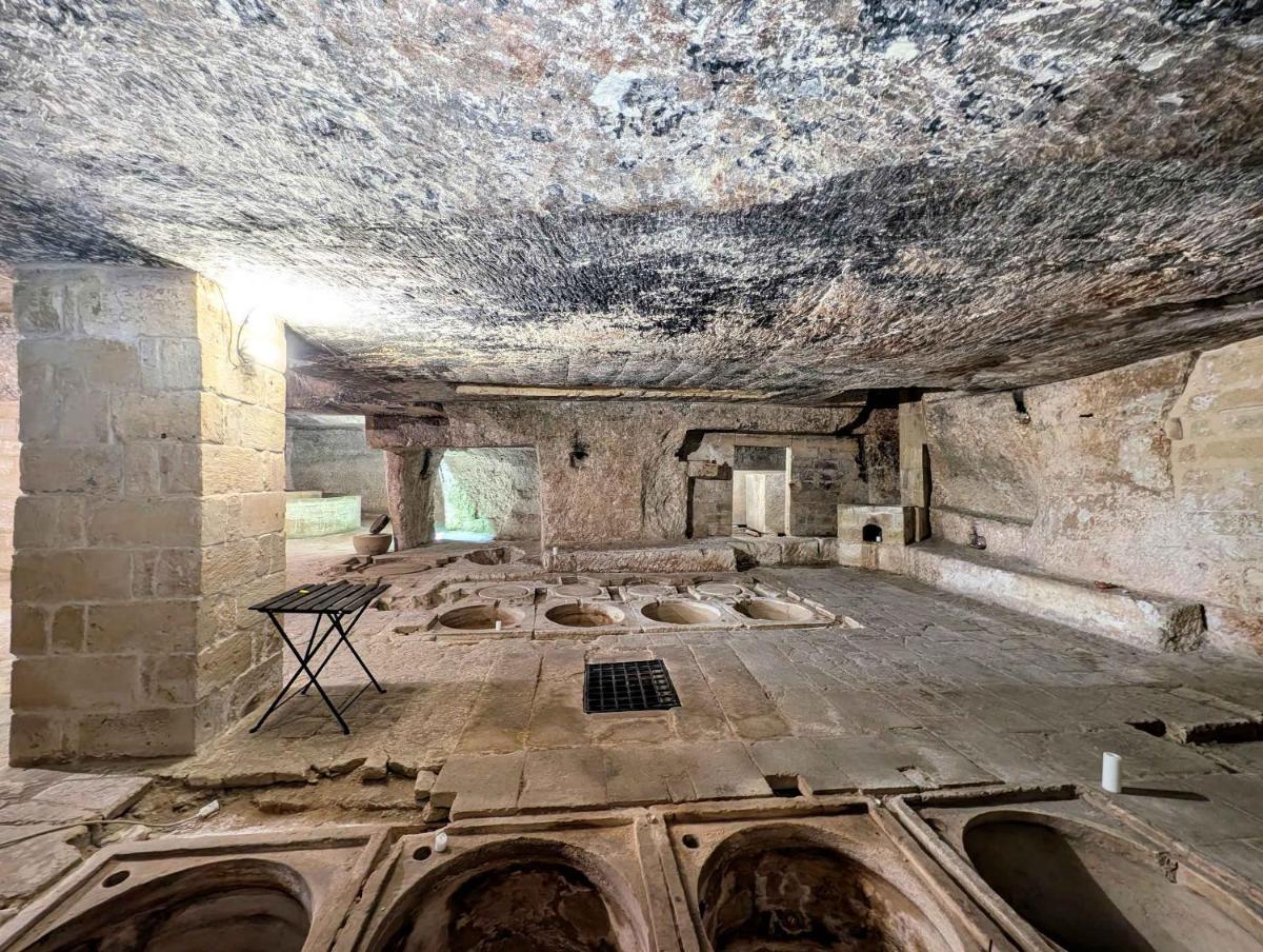 Trapetum-Salento domus