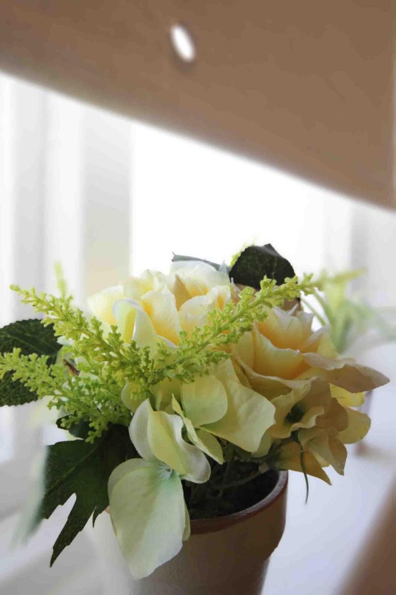 Trinity Mansion - Apartments