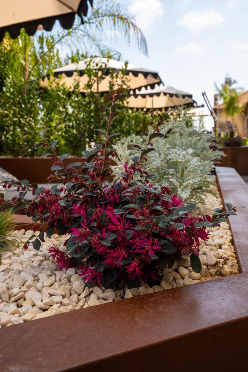 UNA Hotels One Catania Wellness & SPA