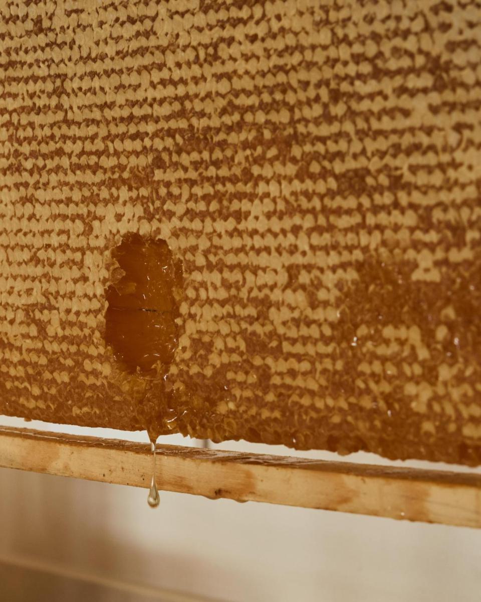 Uzenie All Suites Boutique Resort