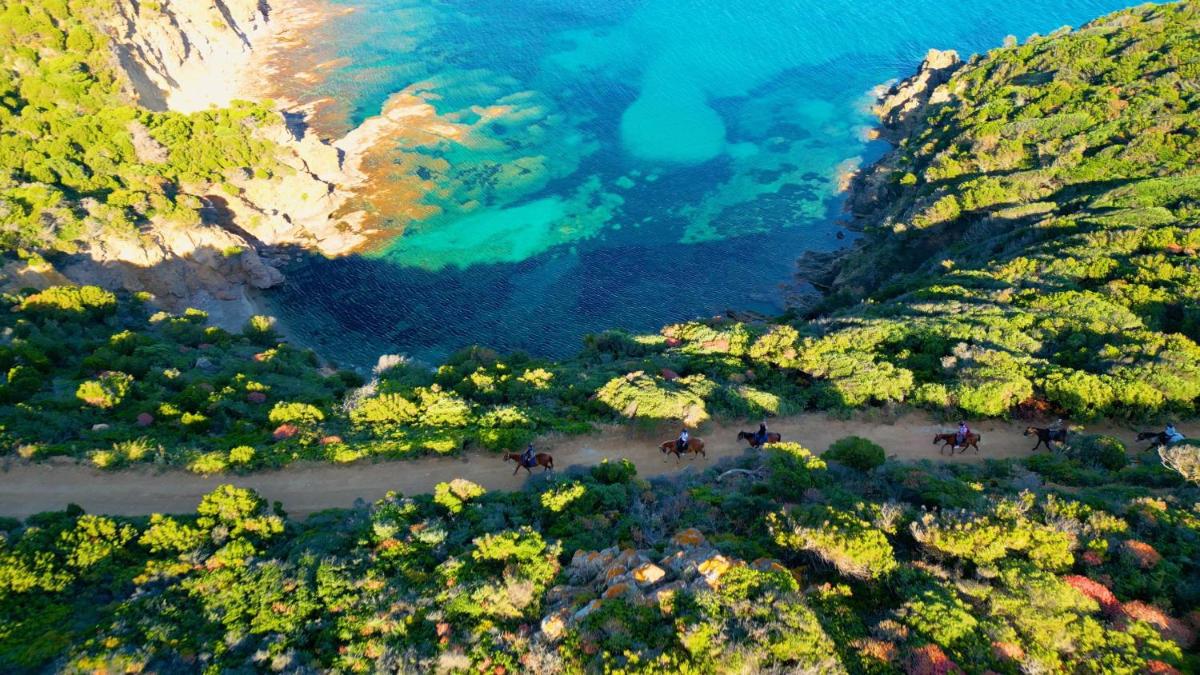 Veridia Resort Sardinia, a member of Radisson Individuals
