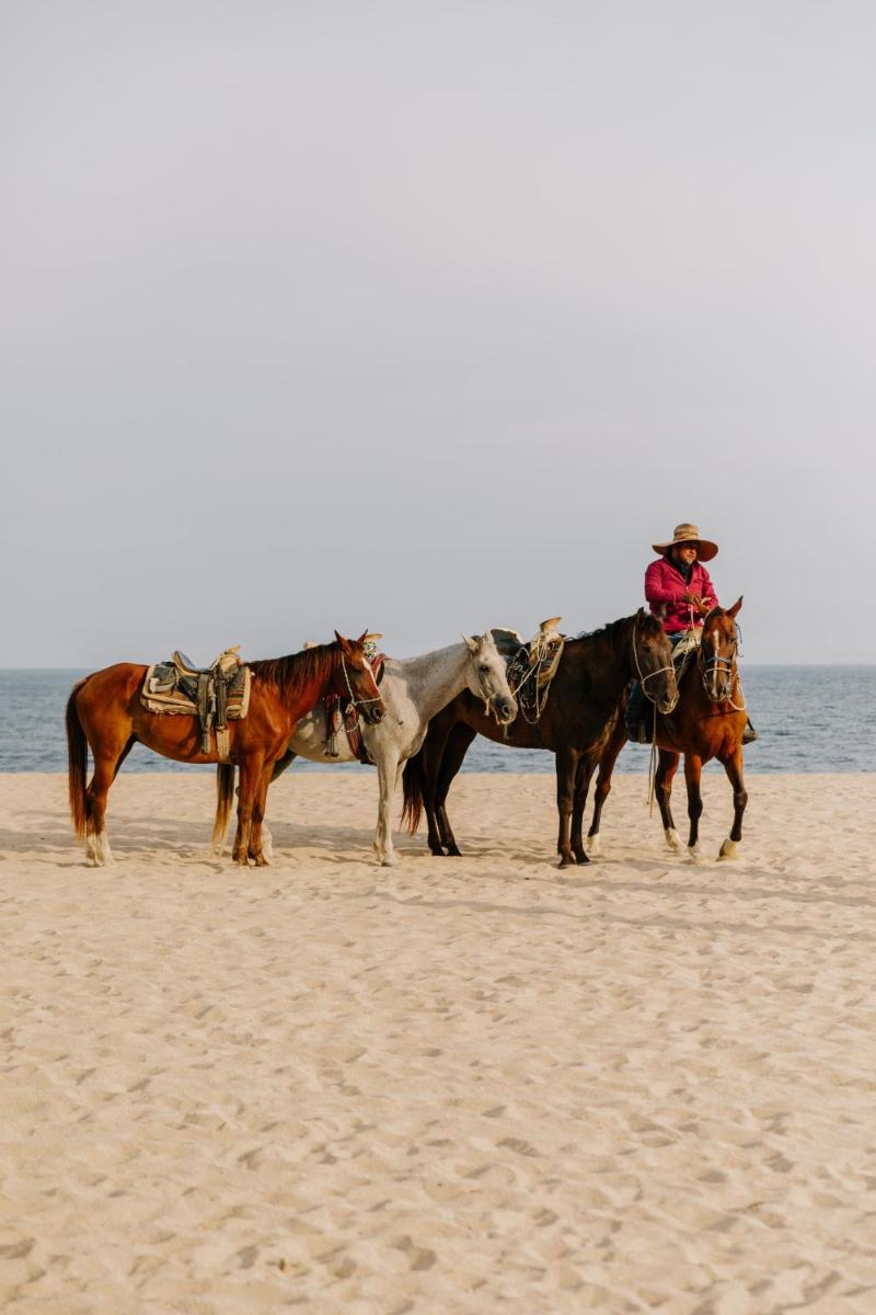 Viceroy Los Cabos