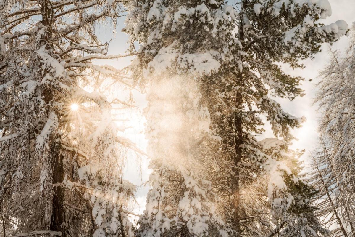 Vigilius Mountain Resort