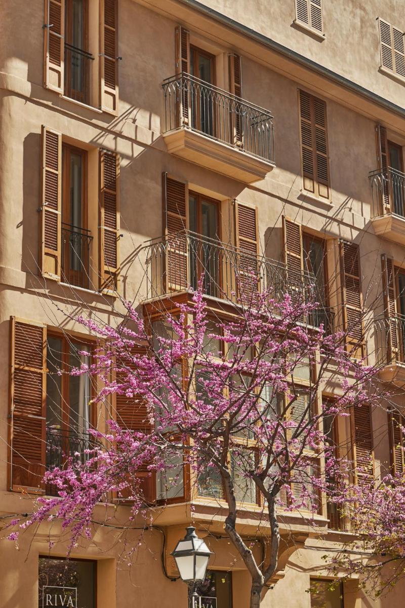 Vila Damunt