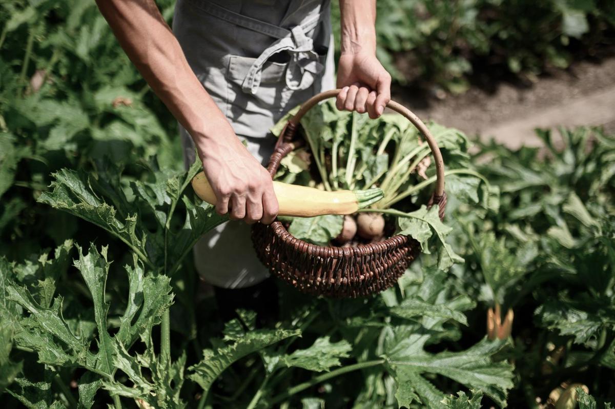 Villa Arnica, a Member of Design Hotels