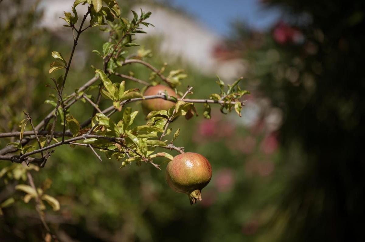 Villa Dei Melograni Boutique Hotel