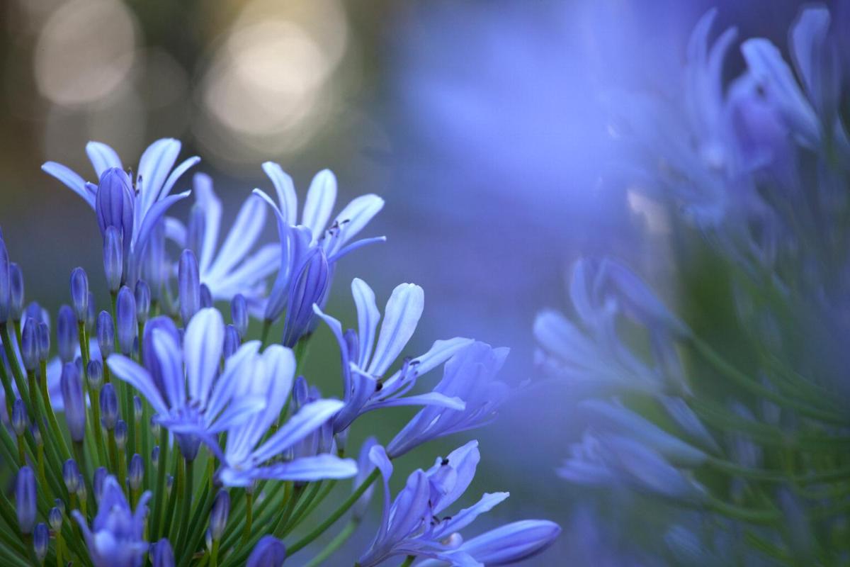 Villa della Pergola Relais et Chateaux