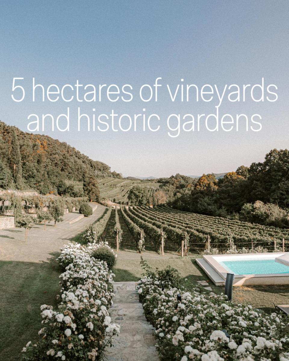 Villa Fabiani, Historic Wine Estate, Štanjel