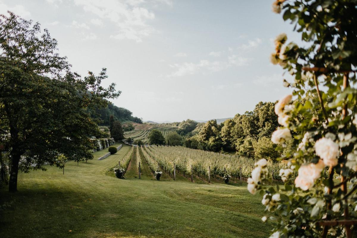 Villa Fabiani, Historic Wine Estate, Štanjel