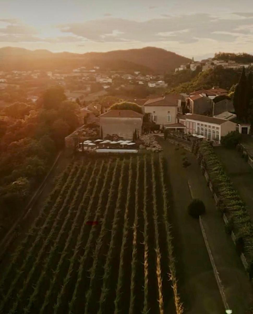 Villa Fabiani, Historic Wine Estate, Štanjel