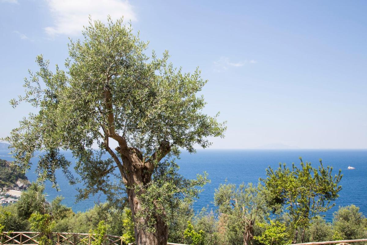 Villa Fiorella Art Hotel