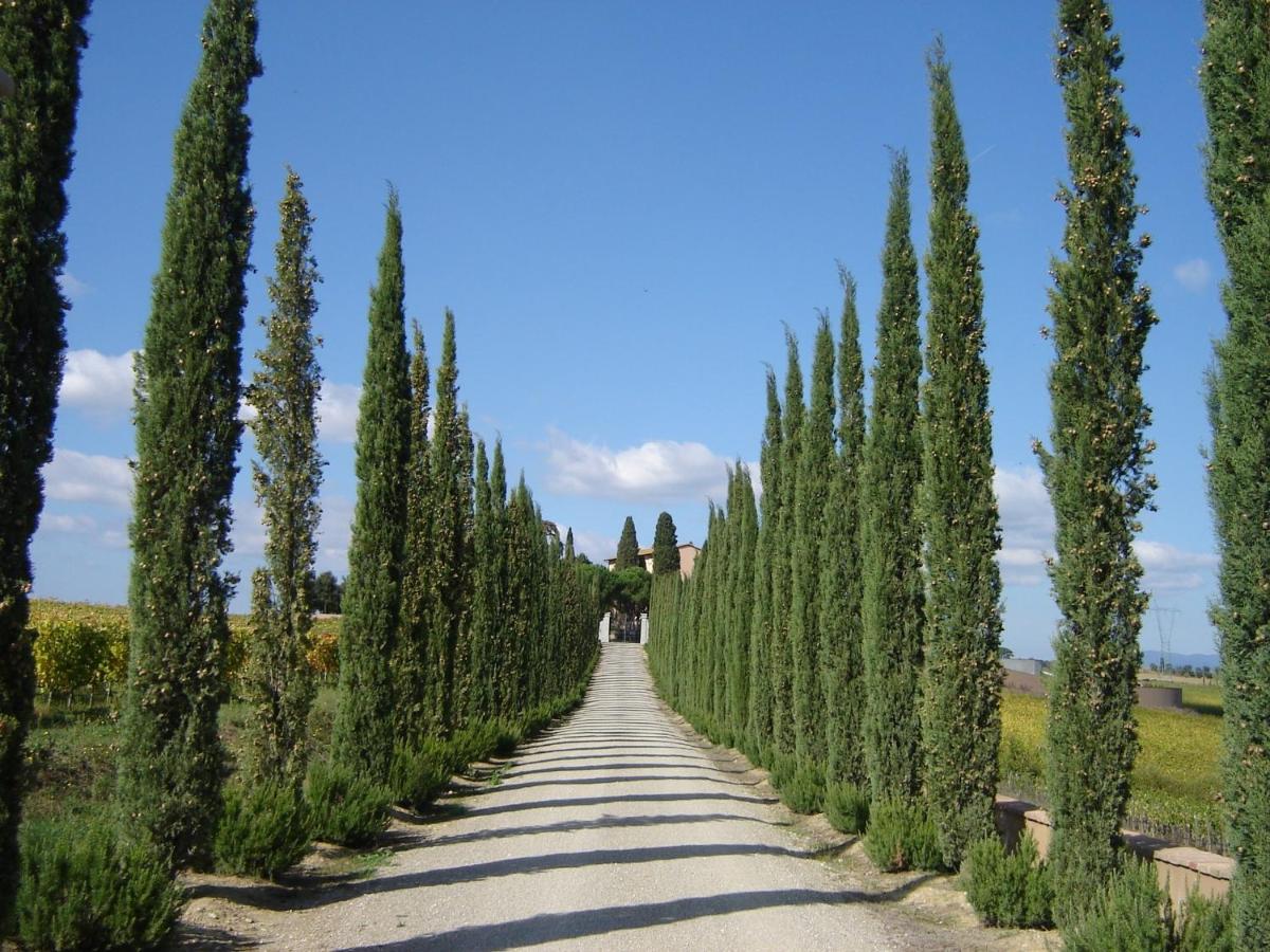 Villa Loggio Winery and Boutique Hotel