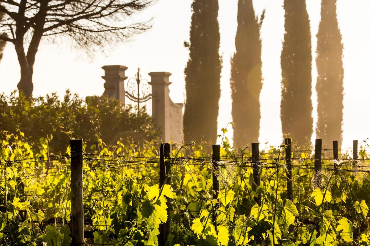 Villa Loggio Winery and Boutique Hotel