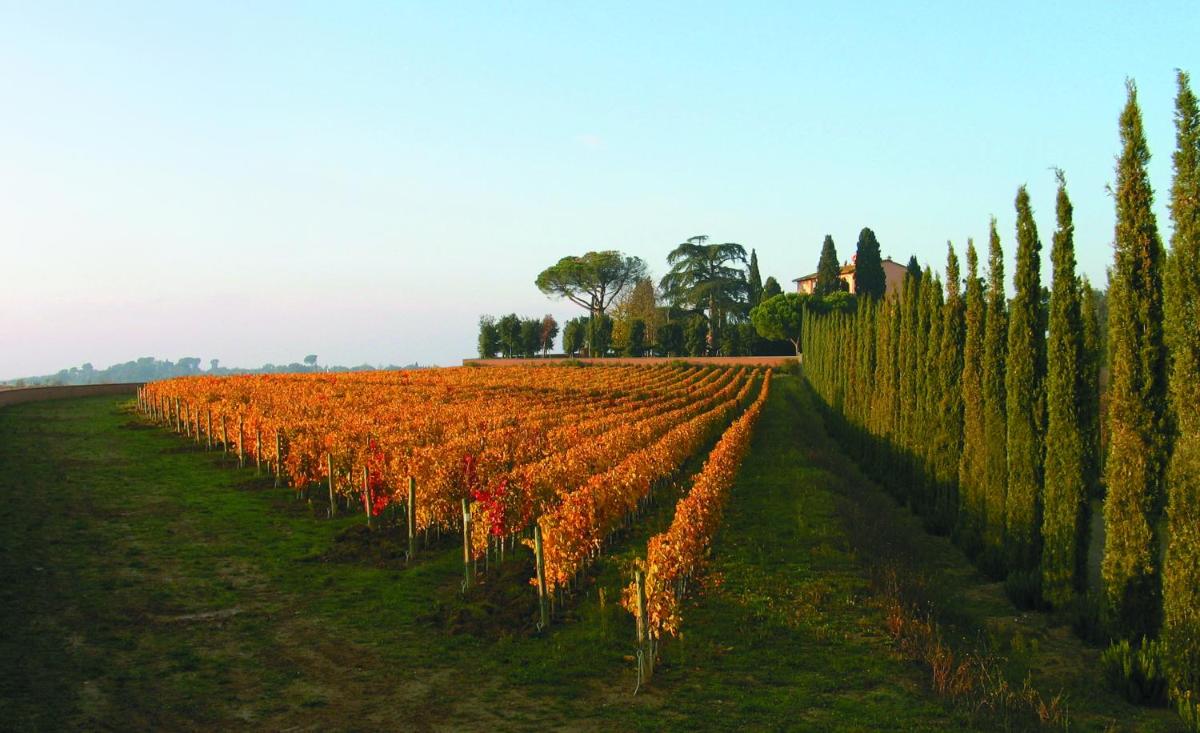 Villa Loggio Winery and Boutique Hotel