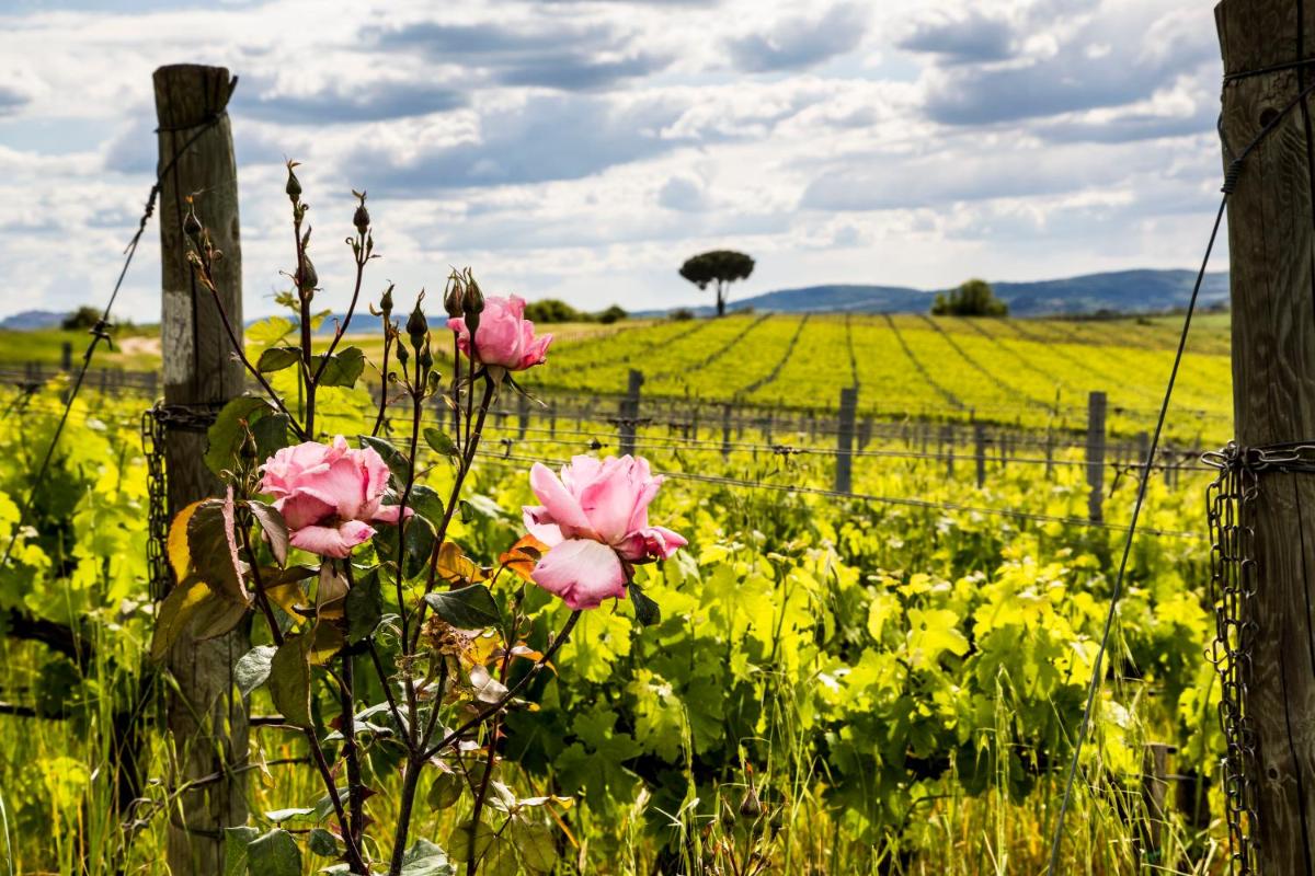 Villa Loggio Winery and Boutique Hotel