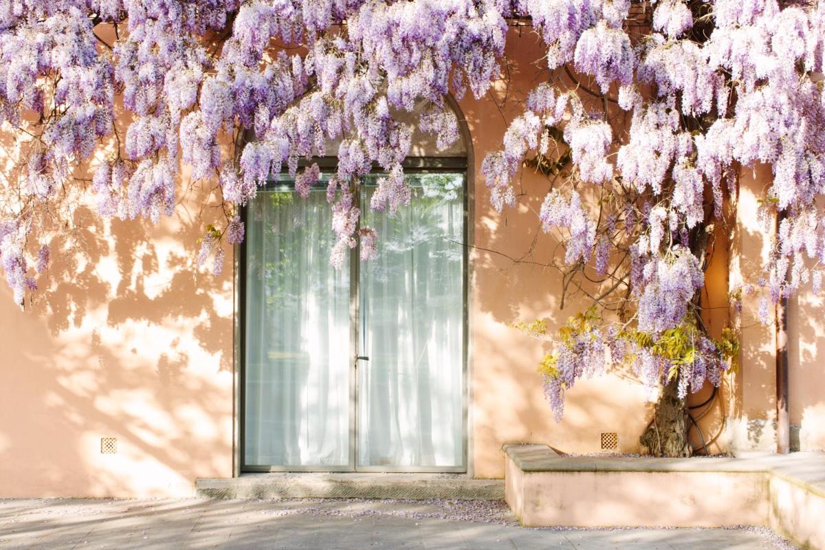 Villa Loggio Winery and Boutique Hotel
