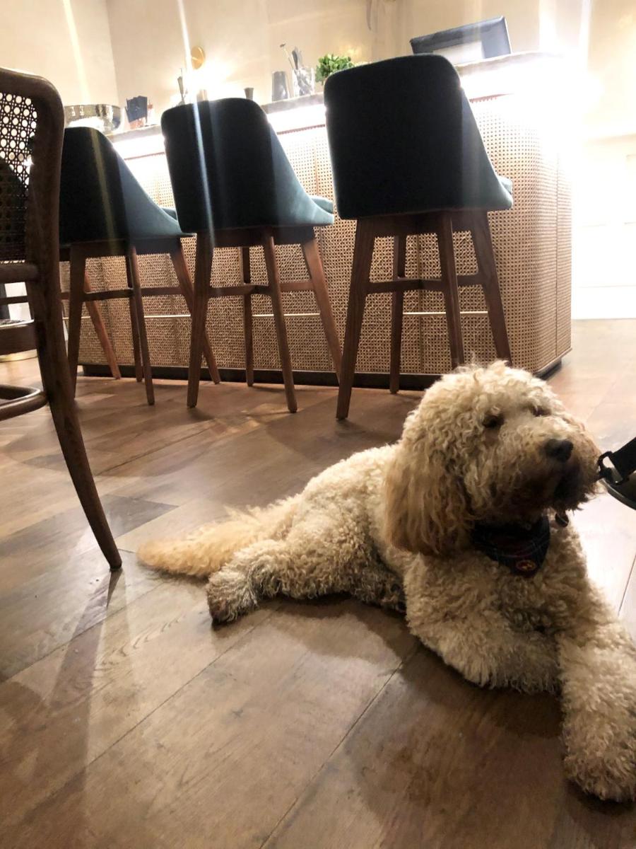 The Roseate Villa Bath