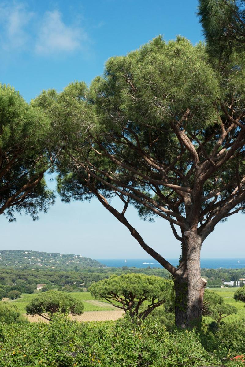 Hôtel Villa Marie Saint Tropez