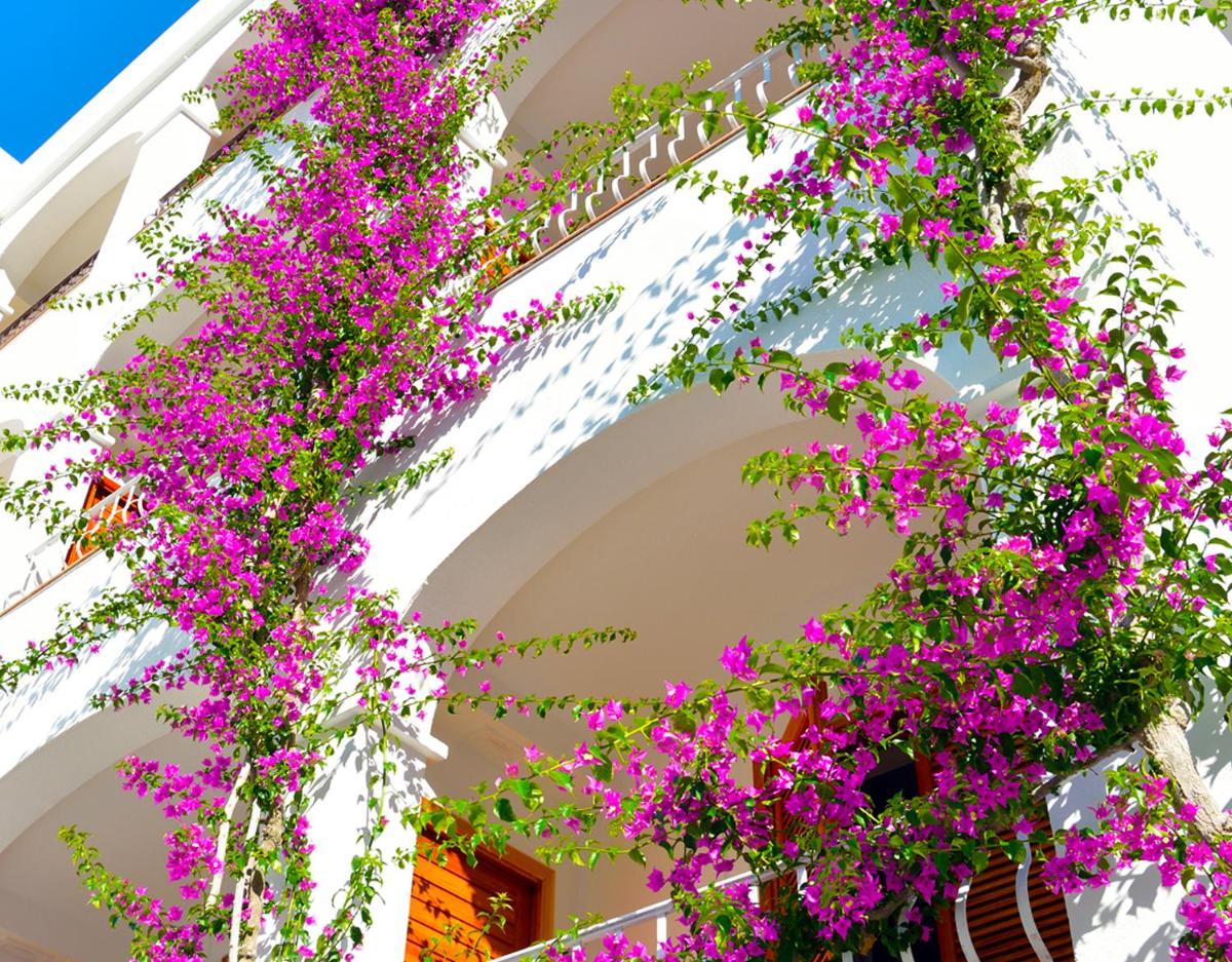 Villa Romana Hotel & Spa