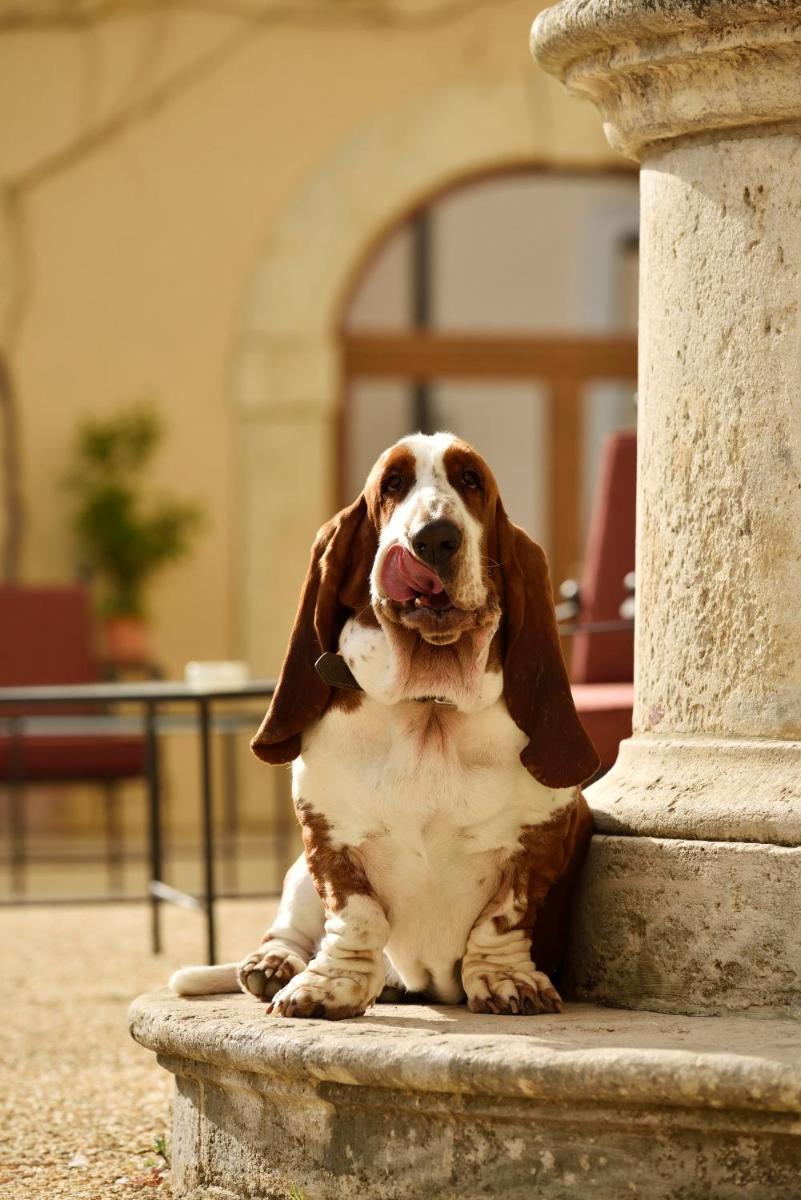 Villa Sabolini