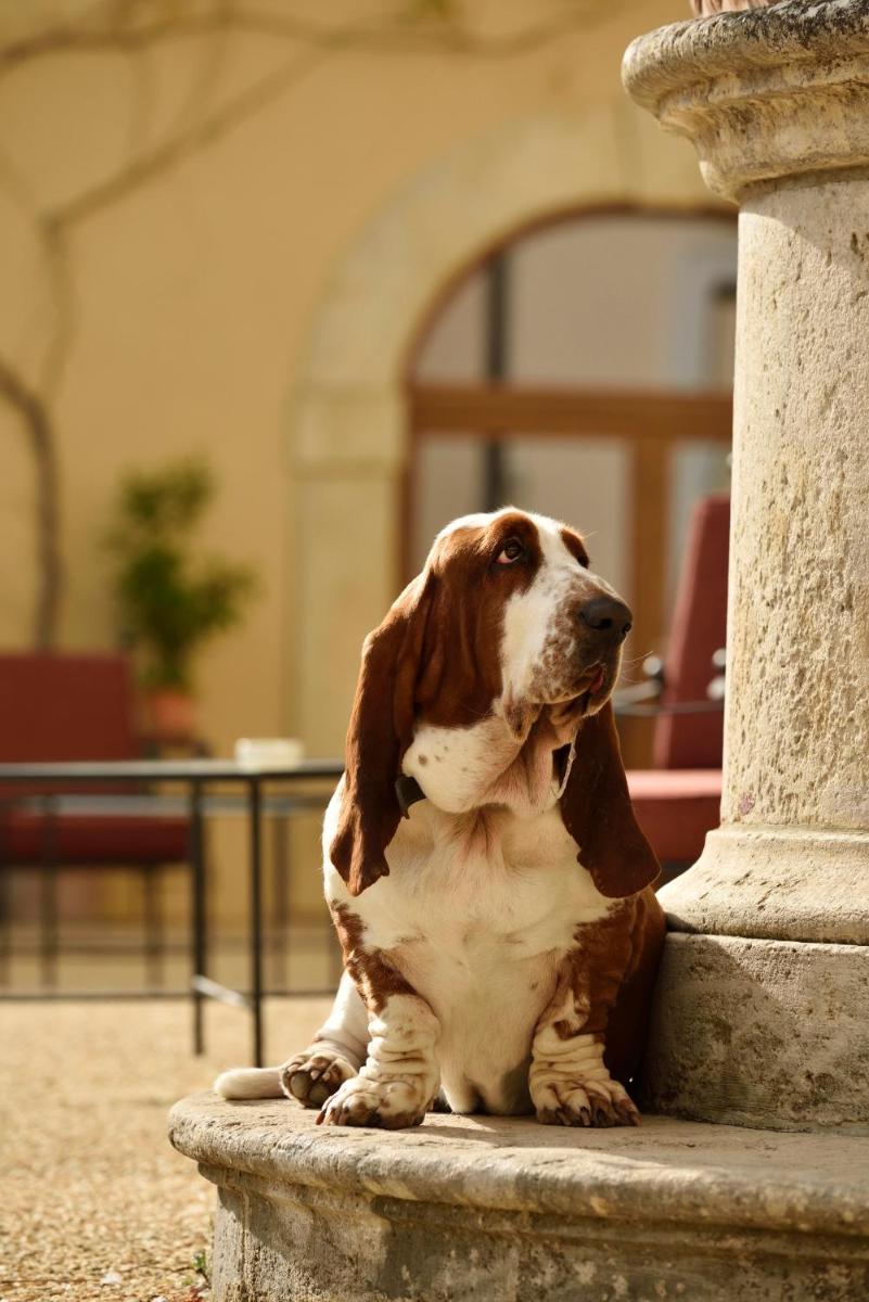 Villa Sabolini