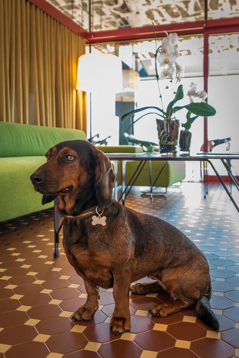 Villaverde Hotel Spa&Golf Udine