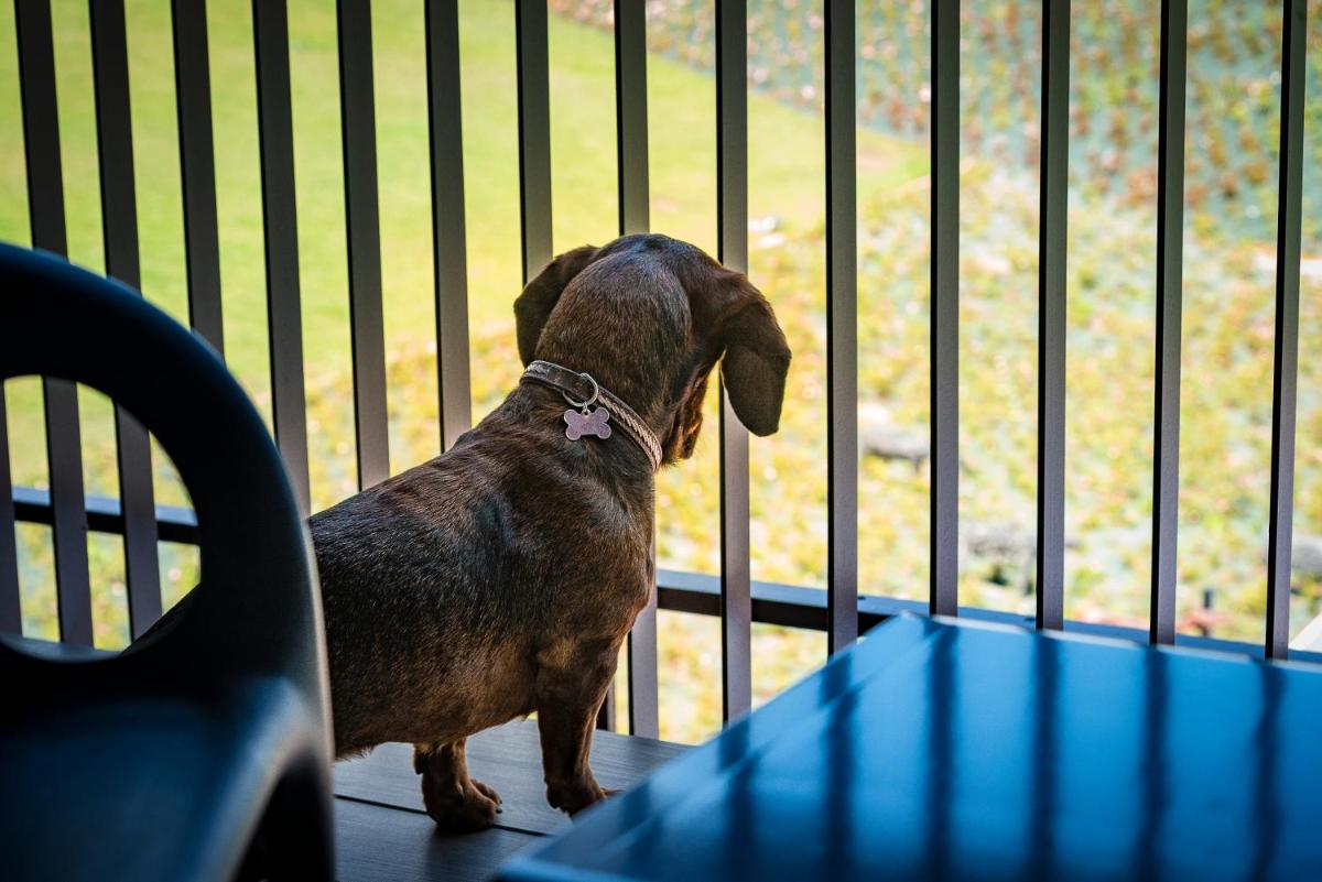 Villaverde Hotel Spa&Golf Udine