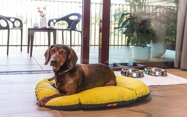 Villaverde Hotel Spa&Golf Udine