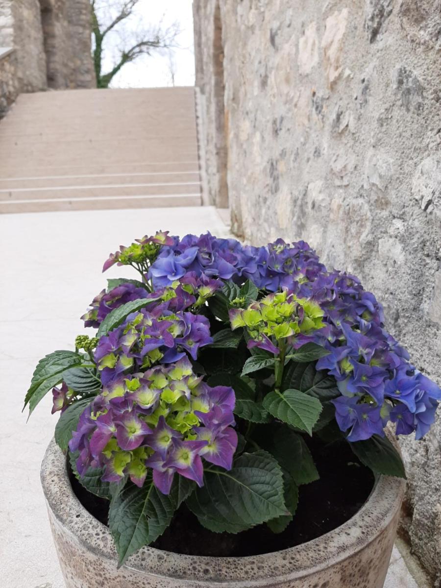 Vinica Castle Boutique & Spa Hotel