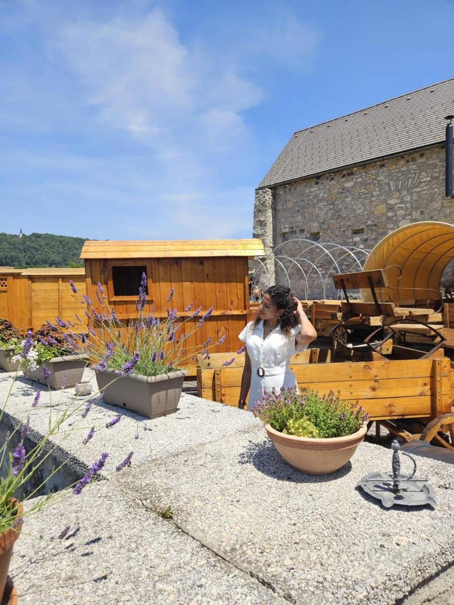 Vinica Castle Boutique & Spa Hotel