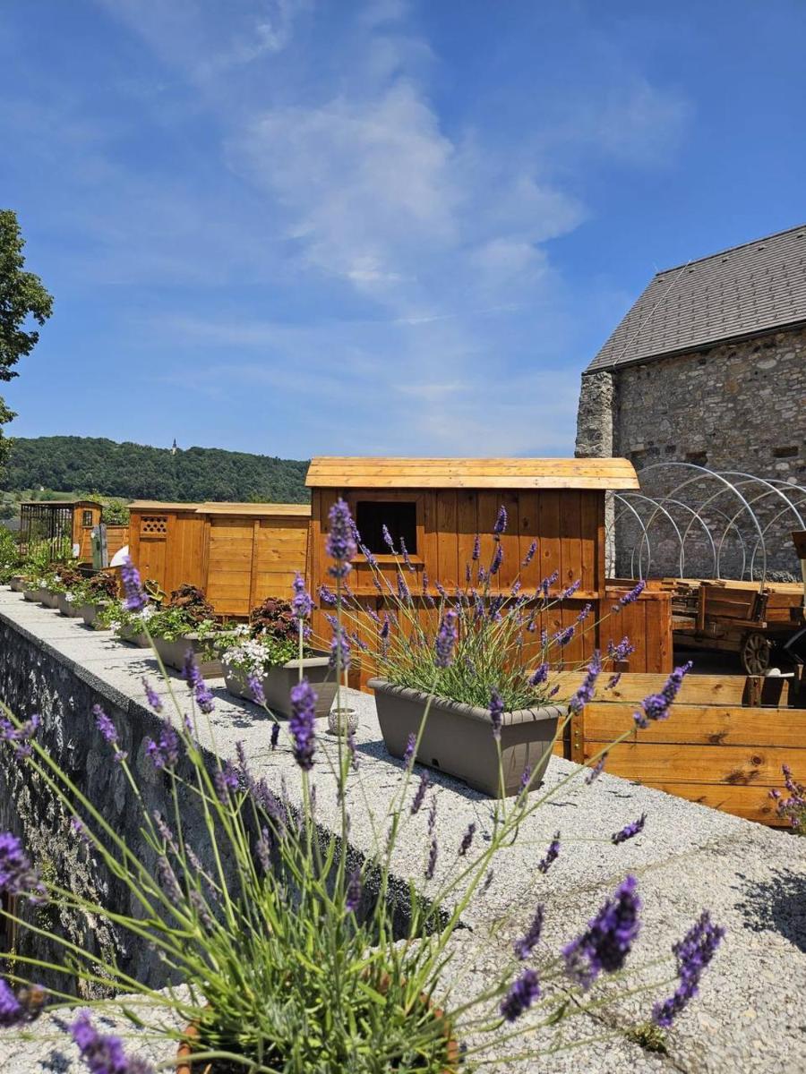 Vinica Castle Boutique & Spa Hotel