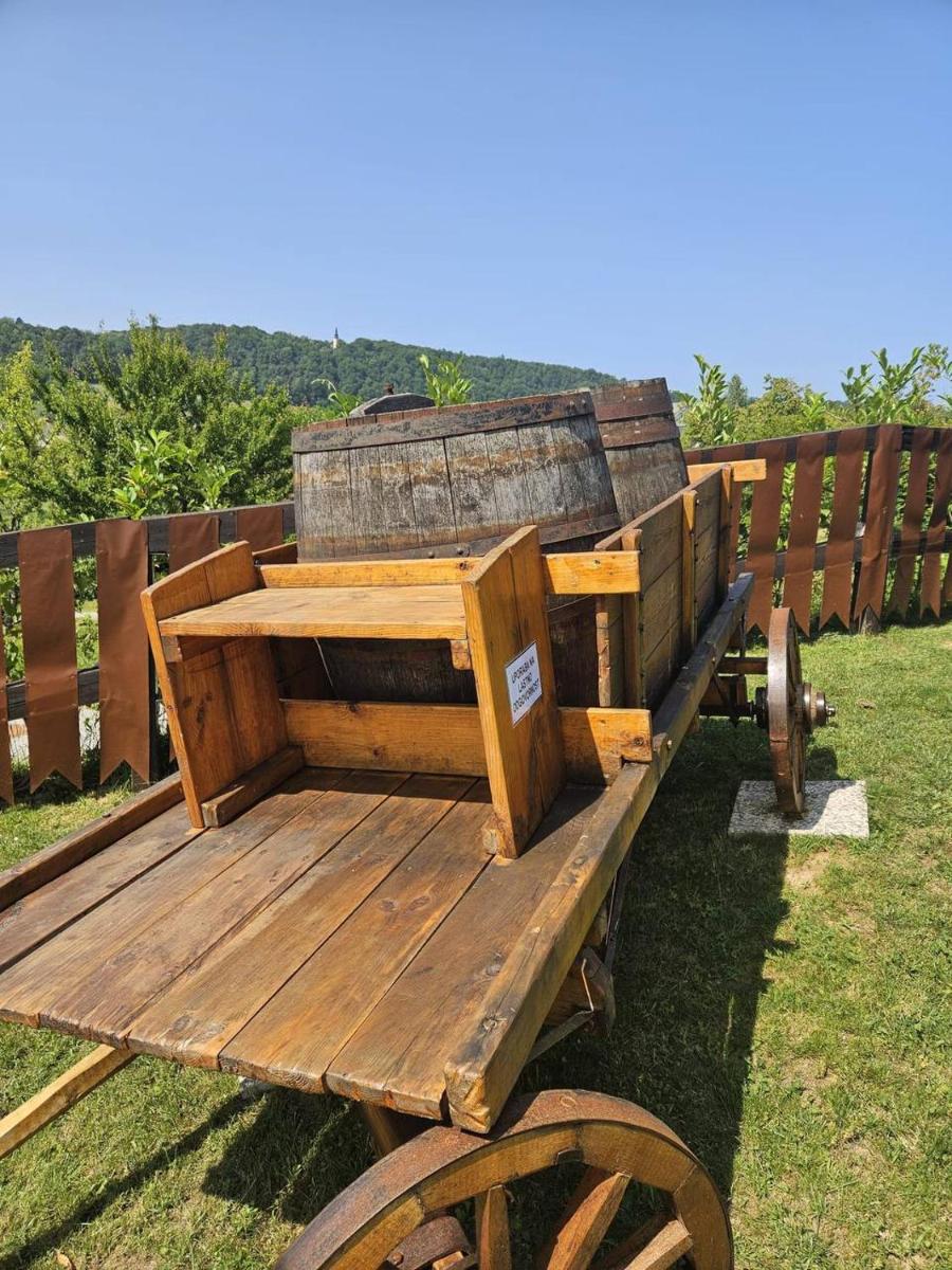 Vinica Castle Boutique & Spa Hotel
