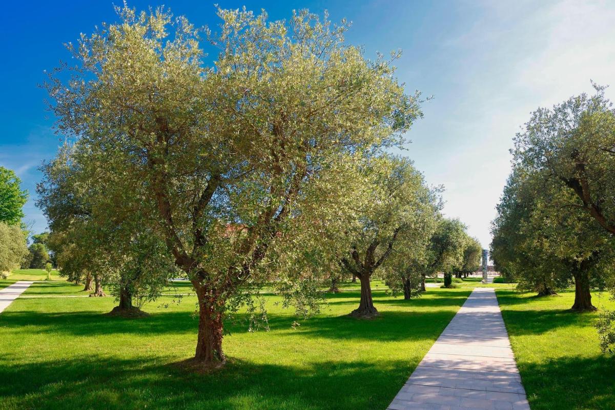 JW Marriott Venice Resort & Spa