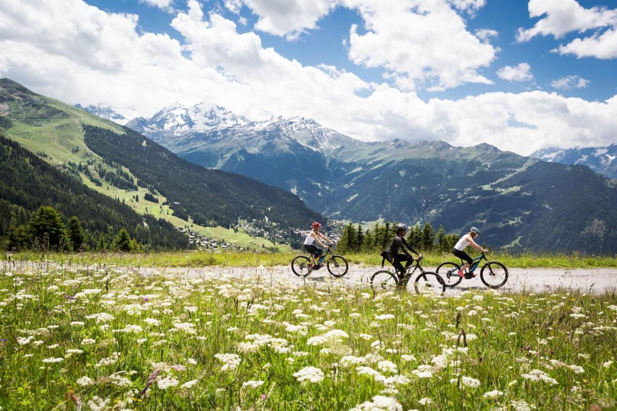 W Verbier