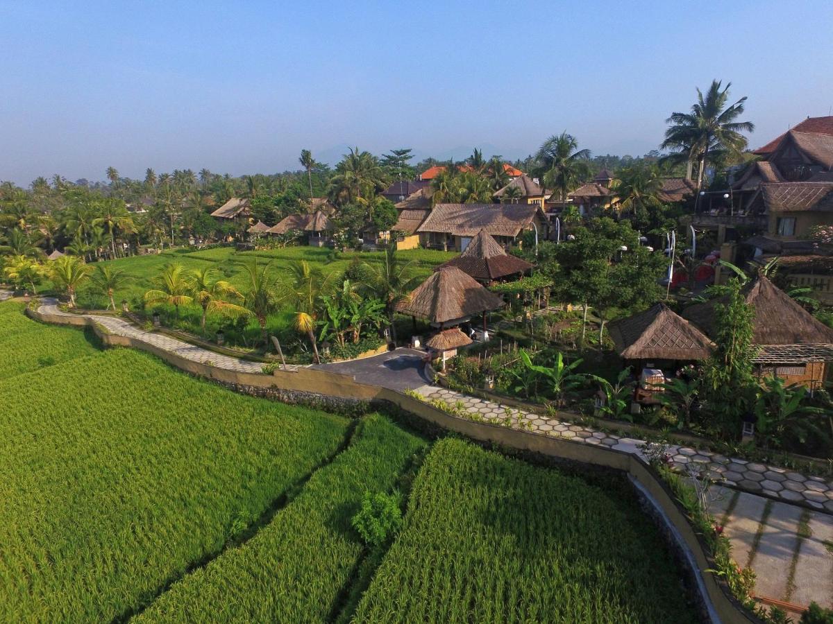 Wapa di Ume Ubud