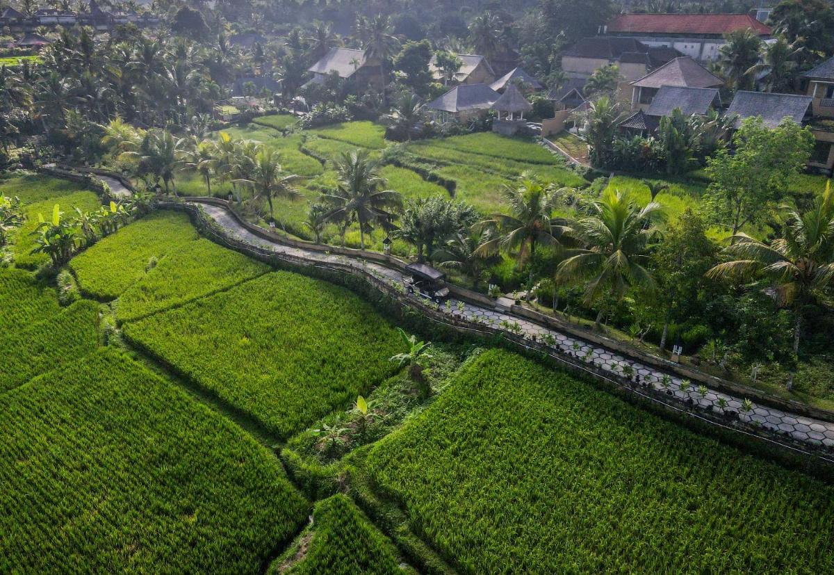 Wapa di Ume Ubud