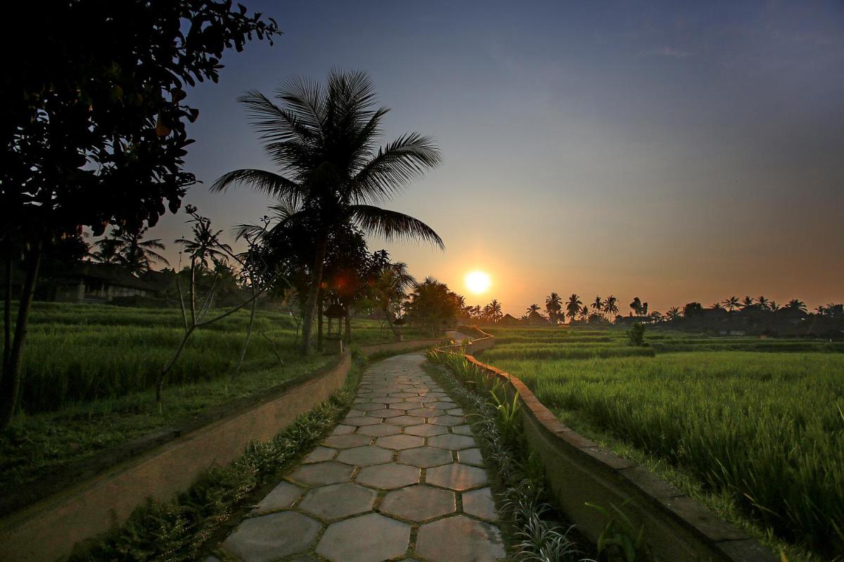 Wapa di Ume Ubud