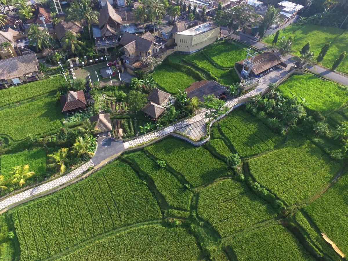 Wapa di Ume Ubud