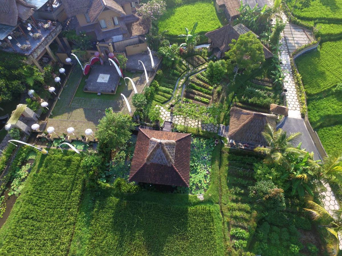 Wapa di Ume Ubud