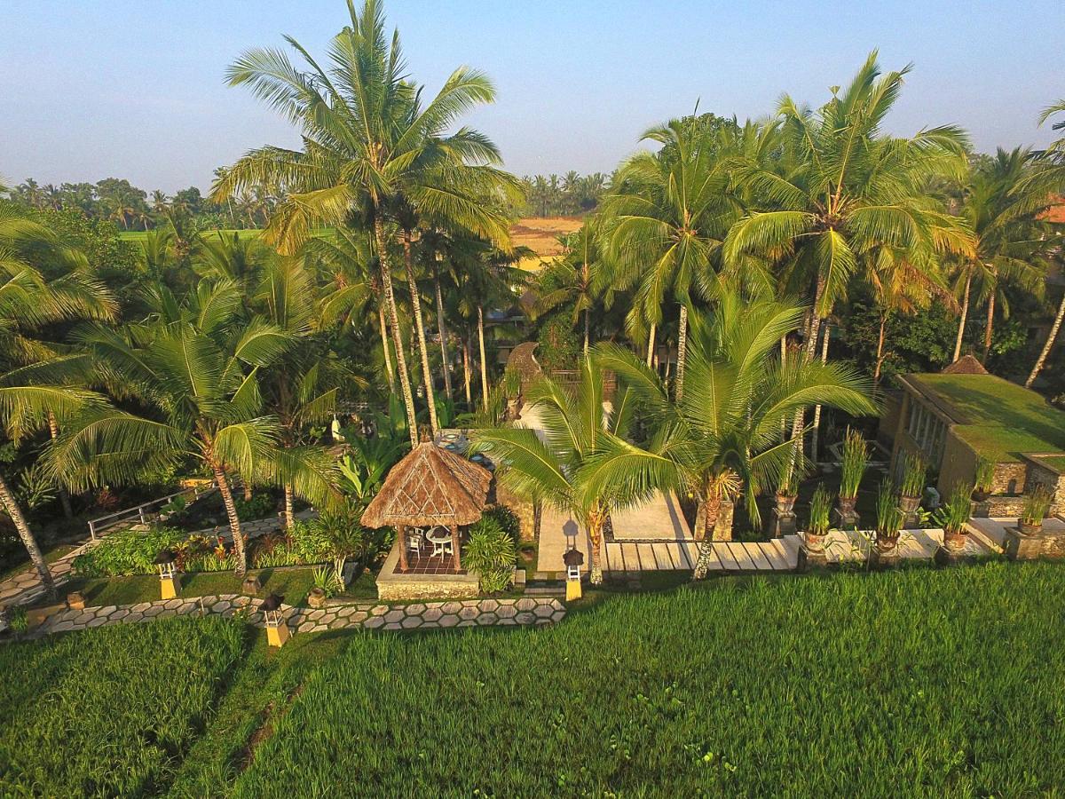 Wapa di Ume Ubud